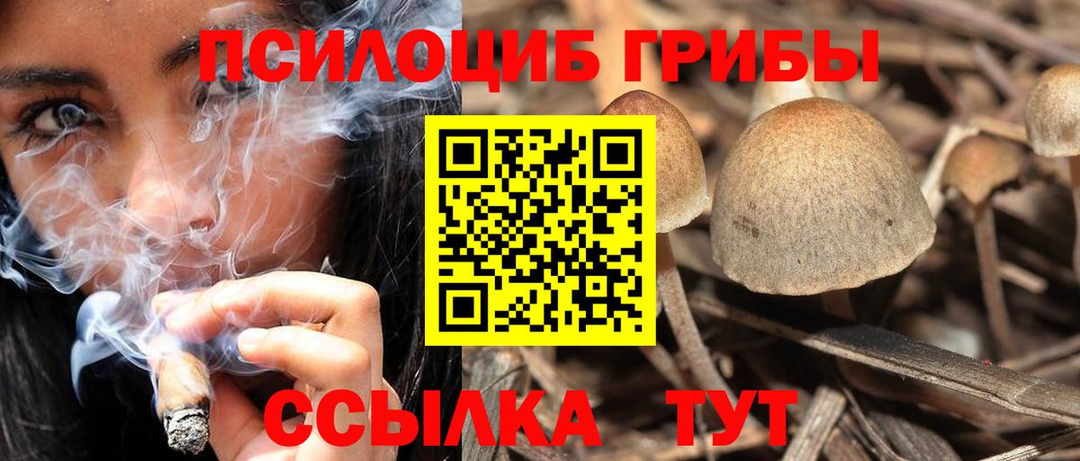 Кимры  Псилоцибиновые грибы мицелий  Вход с VPN  Галлюциногенные грибы мицелий 