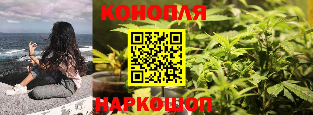 Марихуана конопля Кимры